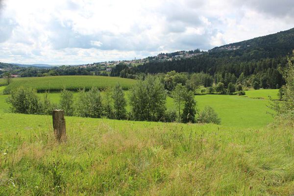 Blick auf Hauzenberg im Bayerischen Wald